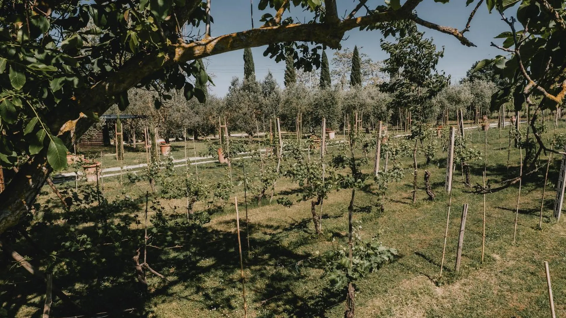 ヴィラ Podere Biagio Valiano