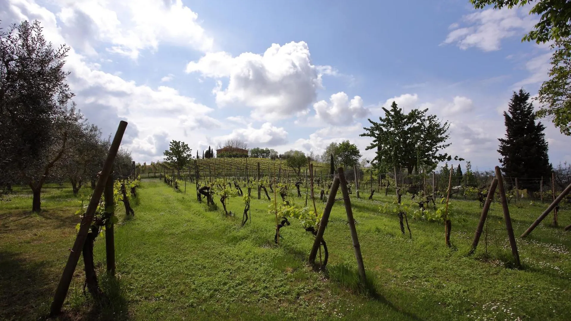 ヴィラ Podere Biagio Valiano